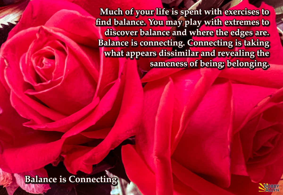 🌹Daily Reflections  May 30, 2022