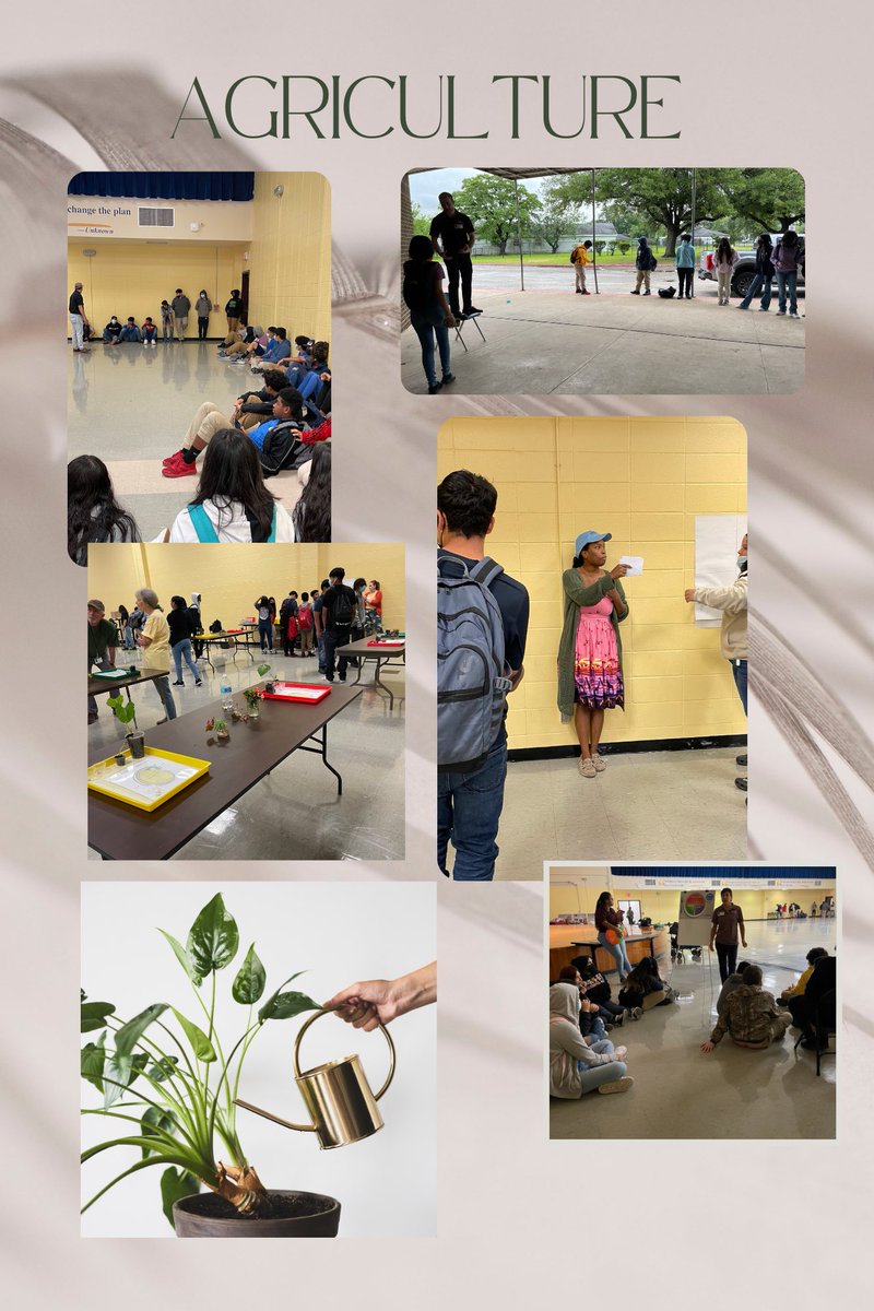 Holland Middle School tweet media