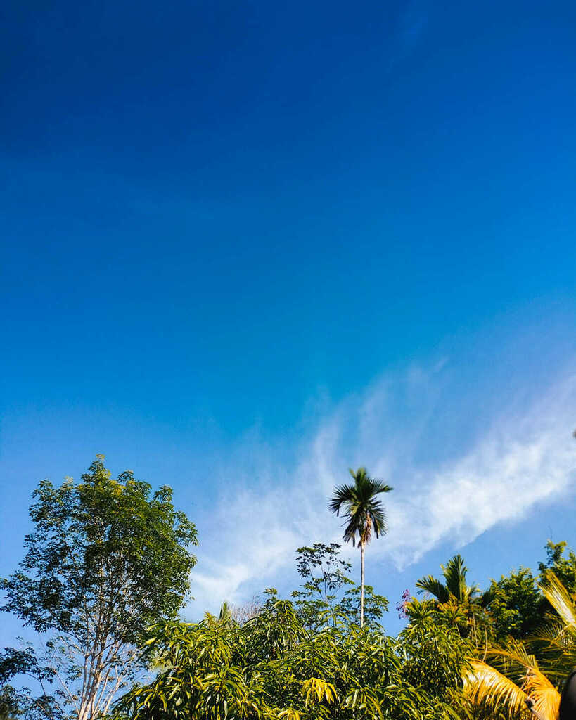orangsabah's tweet photo. Last day of Kaamatan. Apa program kamu yang di Sabah? https://t.co/9A9Q6eIag1