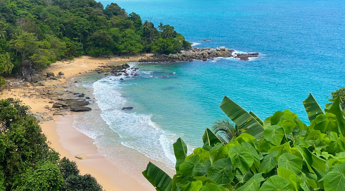 Steve in Phuket tweet media