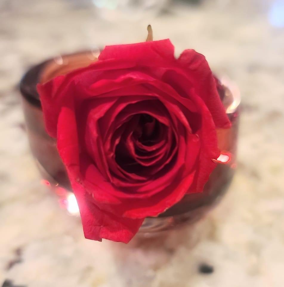 lvshapirolaw's tweet photo. A wonderful story about a young man to whom I am related. Please pass it on. 

https://t.co/RqxjkimpWe

Good morning!
This rose is a sign there is so much to be grateful for everyday and a simple act of kindness can really make someones day more than you may ever know. https://t.co/U6GPdoaTG7