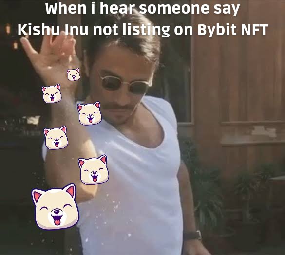 valdavinik's tweet photo. @Bybit_NFT @kishuinu #KishuMemes https://t.co/ZzPr48Cx95