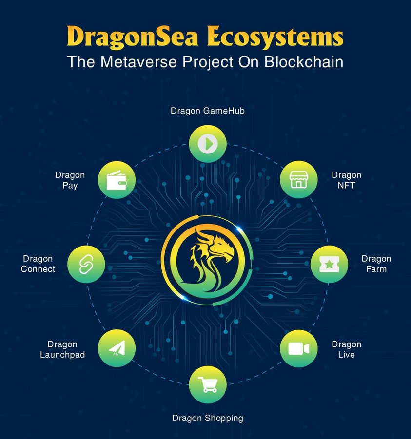 DragonSea 🐉🌊 tweet media