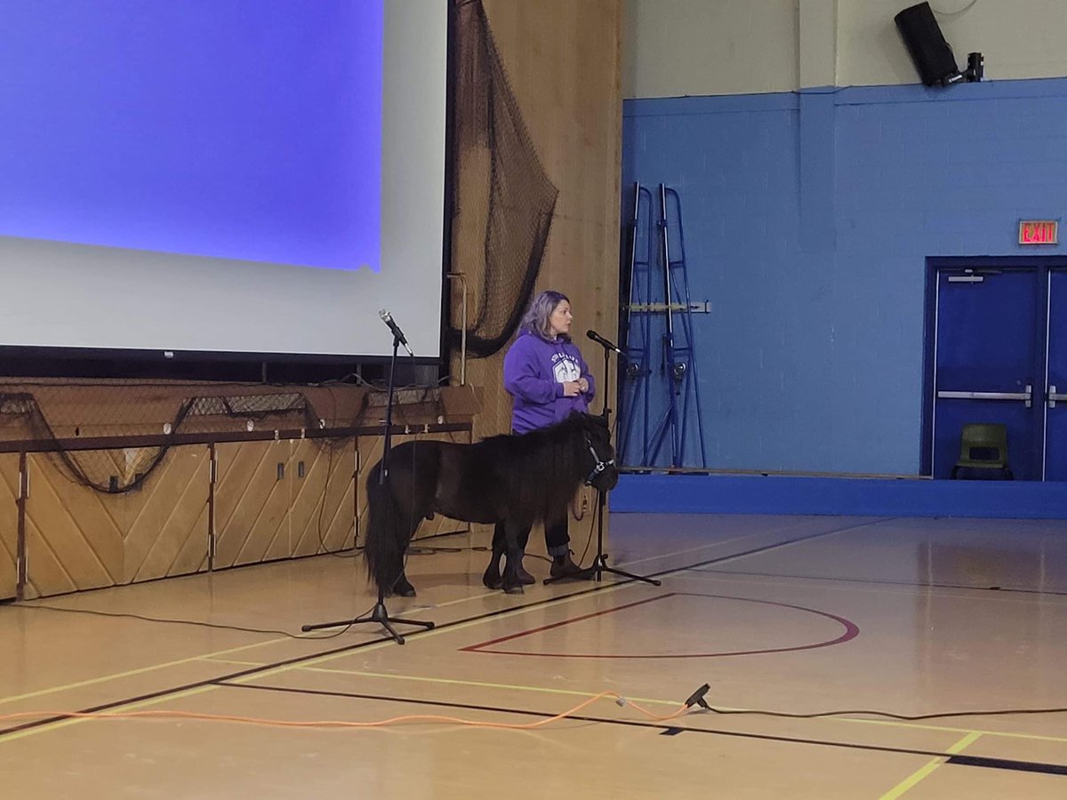 We were so lucky to welcome <a href="/SpiritHorseNL/">Stable Life - Leading Mental Health Recovery</a> to our school today! All of the staff and students were so excited to meet Liberty and his team! Thanks for the great presentation and visit ☺️ Also thanks to the BGC Bell Island who helped make this all happen!