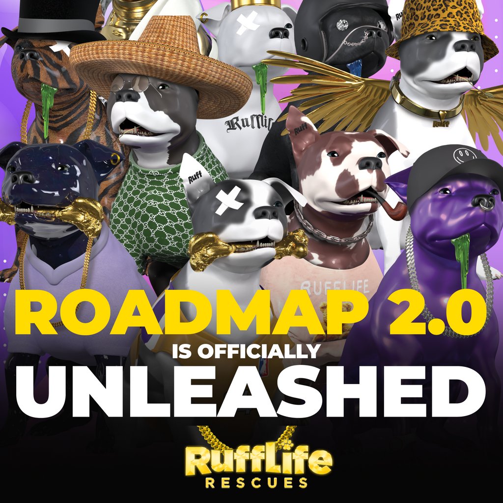 ROADMAP 2.0 IS OFFICIALLY RELEASED🎉  Check out all the details on our discord with the link in bio!!!⁠
⁠
40% of all our mint profits go directly to the BC SPCA, and you can now find our project on secondary markets such as Magic Eden through the link in our bio.⁠
⁠