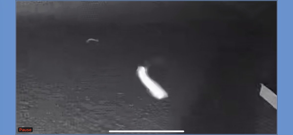 Coach_Wise's tweet image. What in the hell are these things flying outside my house. #ufo #unidentifiedobjects #nightobjects #unexplained #weird #nightcamera
