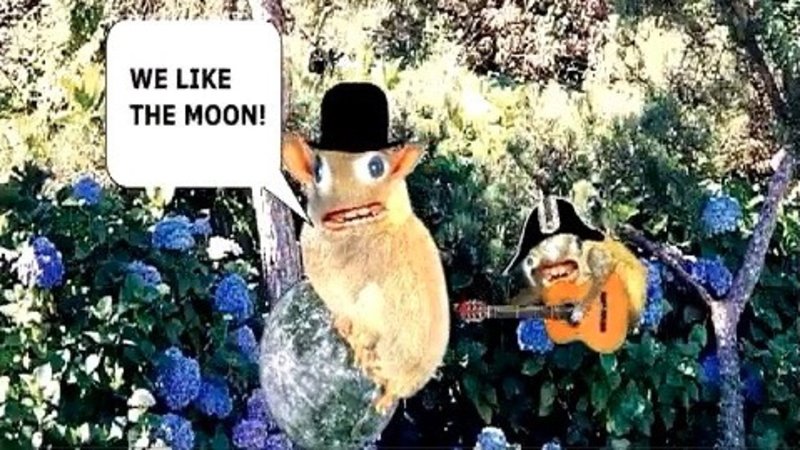 ZakariyaAliSher's tweet photo. We like the moon!!!
https://t.co/Uc8OroKqqW
#Spongemonkeys #WeLikeTheMoon #RatherGood #JoelVeitch #CrabBloke #CrabOfIneffableWisdom #humor #FlashAnimation #internet #NewGrounds #2000s #weird https://t.co/TpR3wdgchb