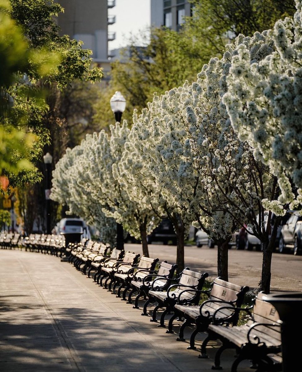 Explore Edmonton tweet media