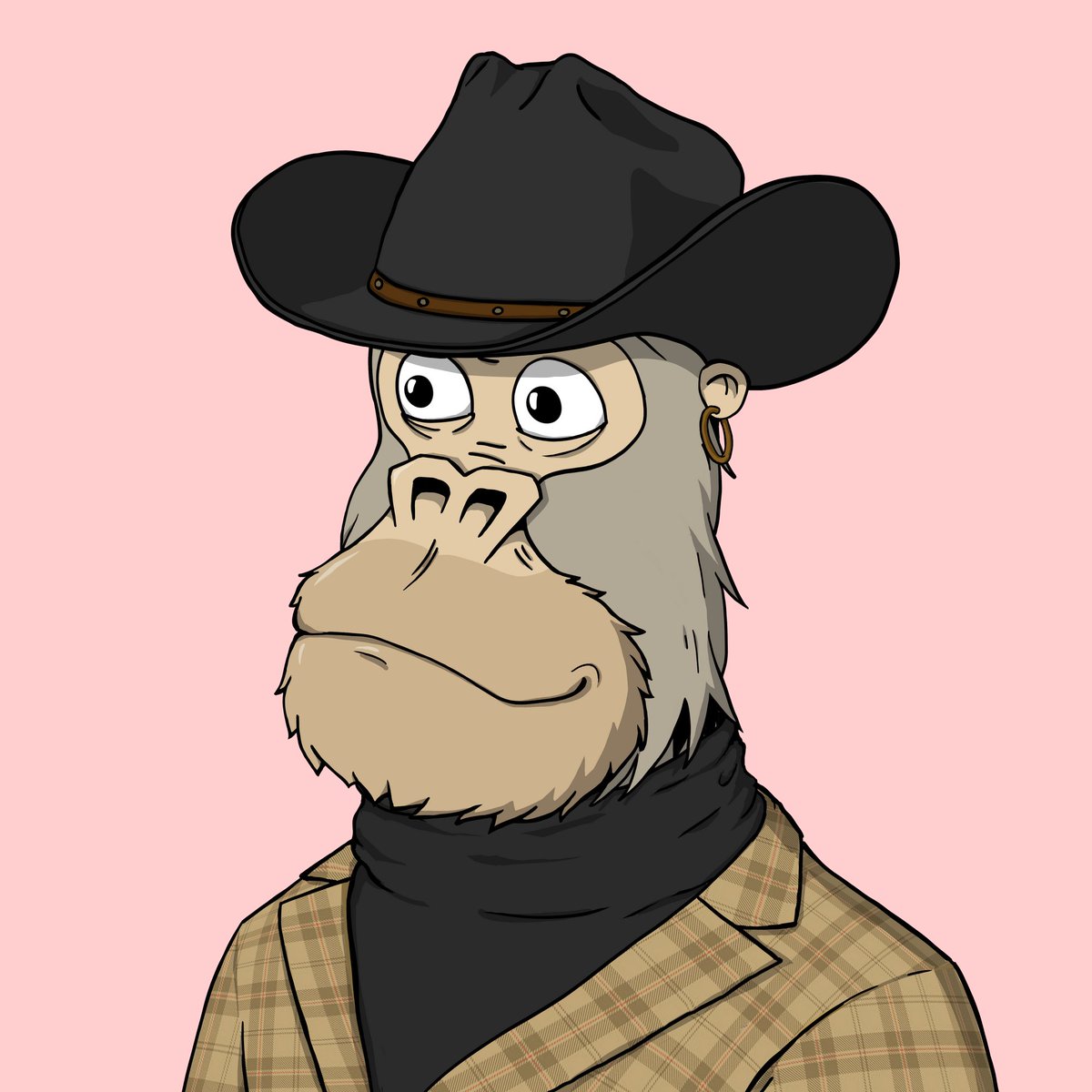 $cowboy.cash tweet media