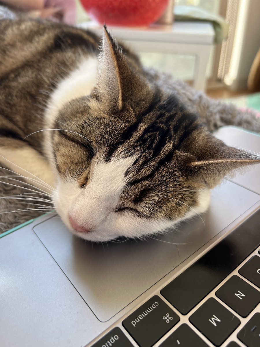 indiewebcat's tweet photo. Fell asleep at work https://t.co/UkuPG7aBT7
