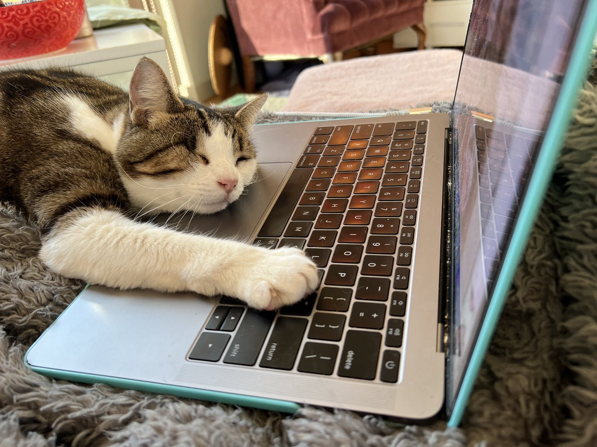 indiewebcat's tweet photo. Fell asleep at work https://t.co/UkuPG7aBT7
