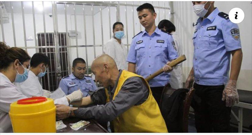 ErkinSidick's tweet photo. Photo: This is how the #Uyghurs locked up in concentration camps/prisons are given “medical exams”. #CCP evil empire is terminating the Uyghur race in occupied Uyghur homeland, East Turkistan. The international community, please help us. I know you can. #SaveUyghurs #ChinaExposed https://t.co/uUoJllXr4q