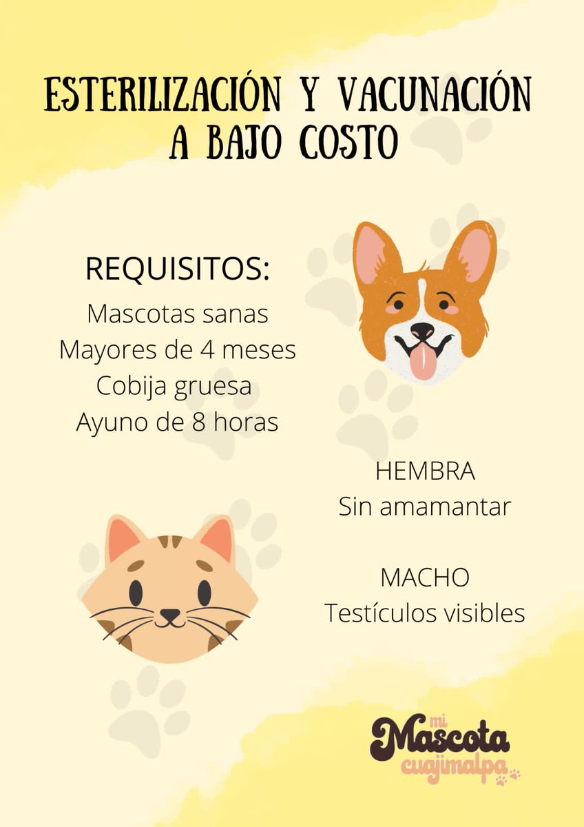 Si estás interesado en esterilizar manda WhatsApp al 5535115240 🐕🦮🐩🐈‍⬛🐕‍🦺🇲🇽🥇
