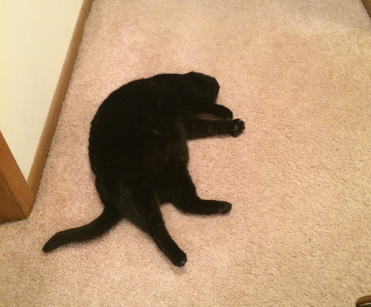 SteamMom tweet media