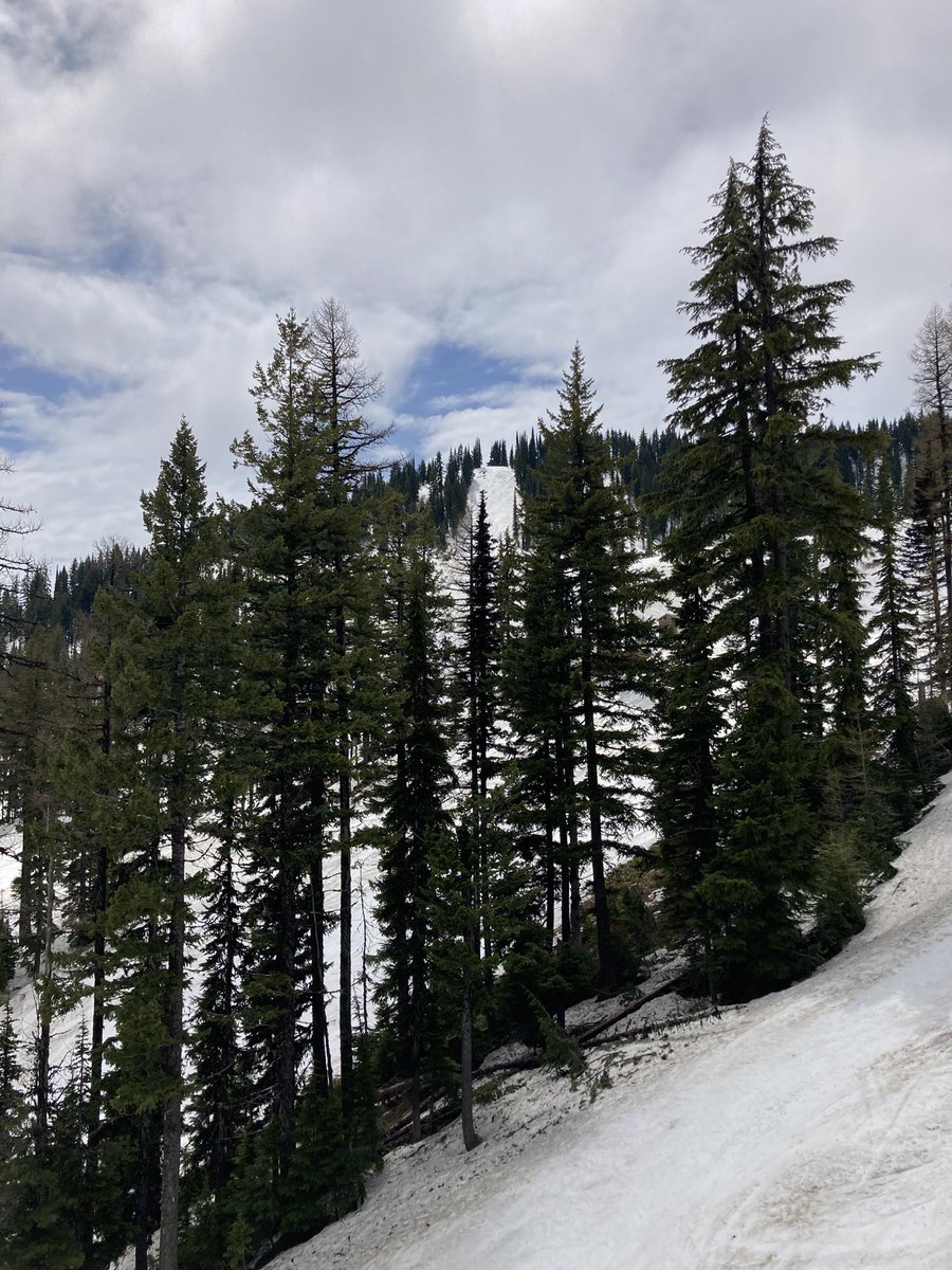 kulwap's tweet photo. Memorial Day skiing at Silver Mountain! A great way to end the season! @SilverMtnResort @SkiNWrockies #onlyatsilver #skiing #spring #pnw 2 of 2 https://t.co/C7AUUYH2Bu