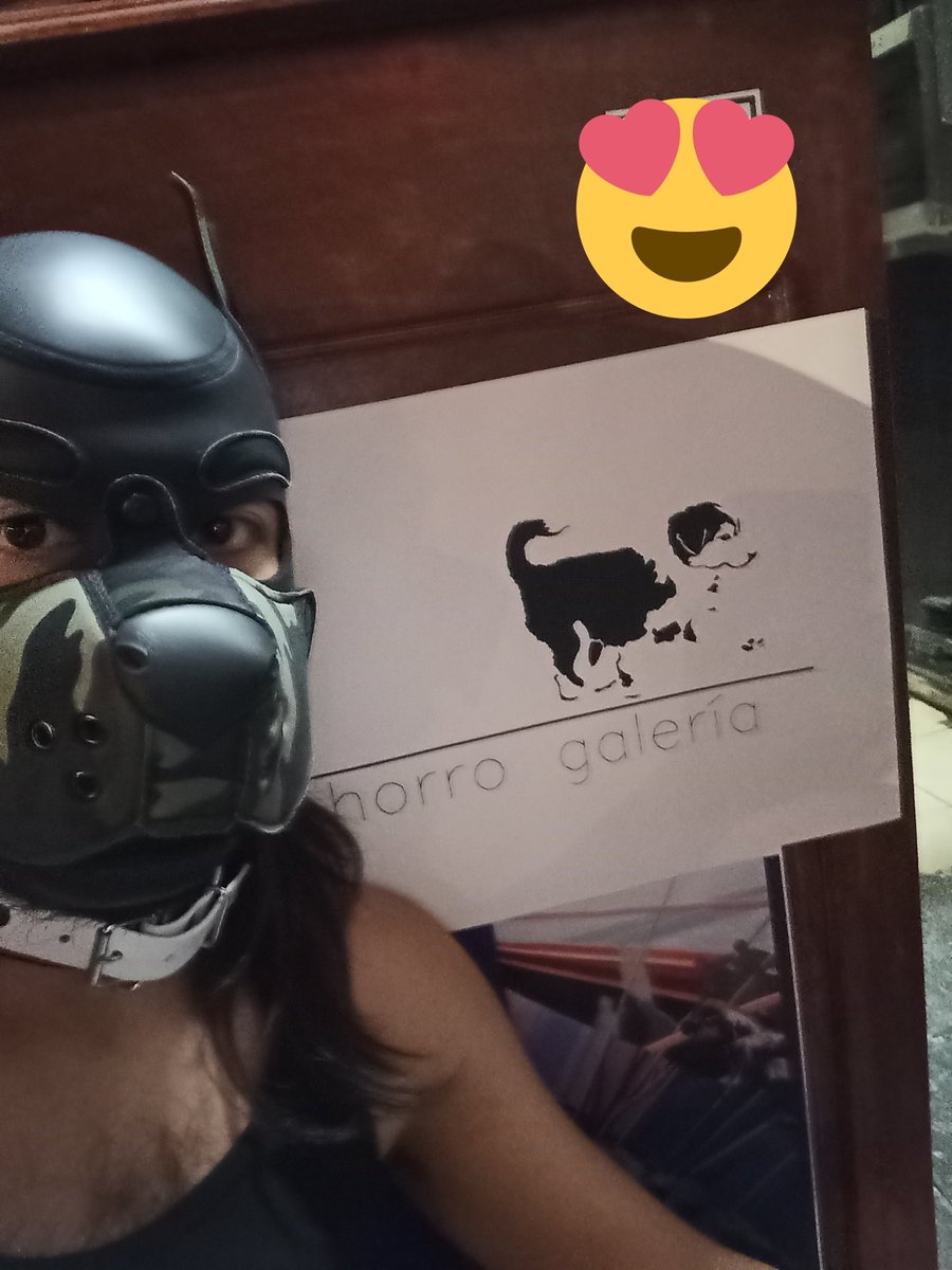 dcnaberius's tweet photo. Quien quiere ver perros al natural? 🐕‍🦺 //Who wants to see natural dogs? 🐕‍🦺 https://t.co/5GExxHU3Tx
