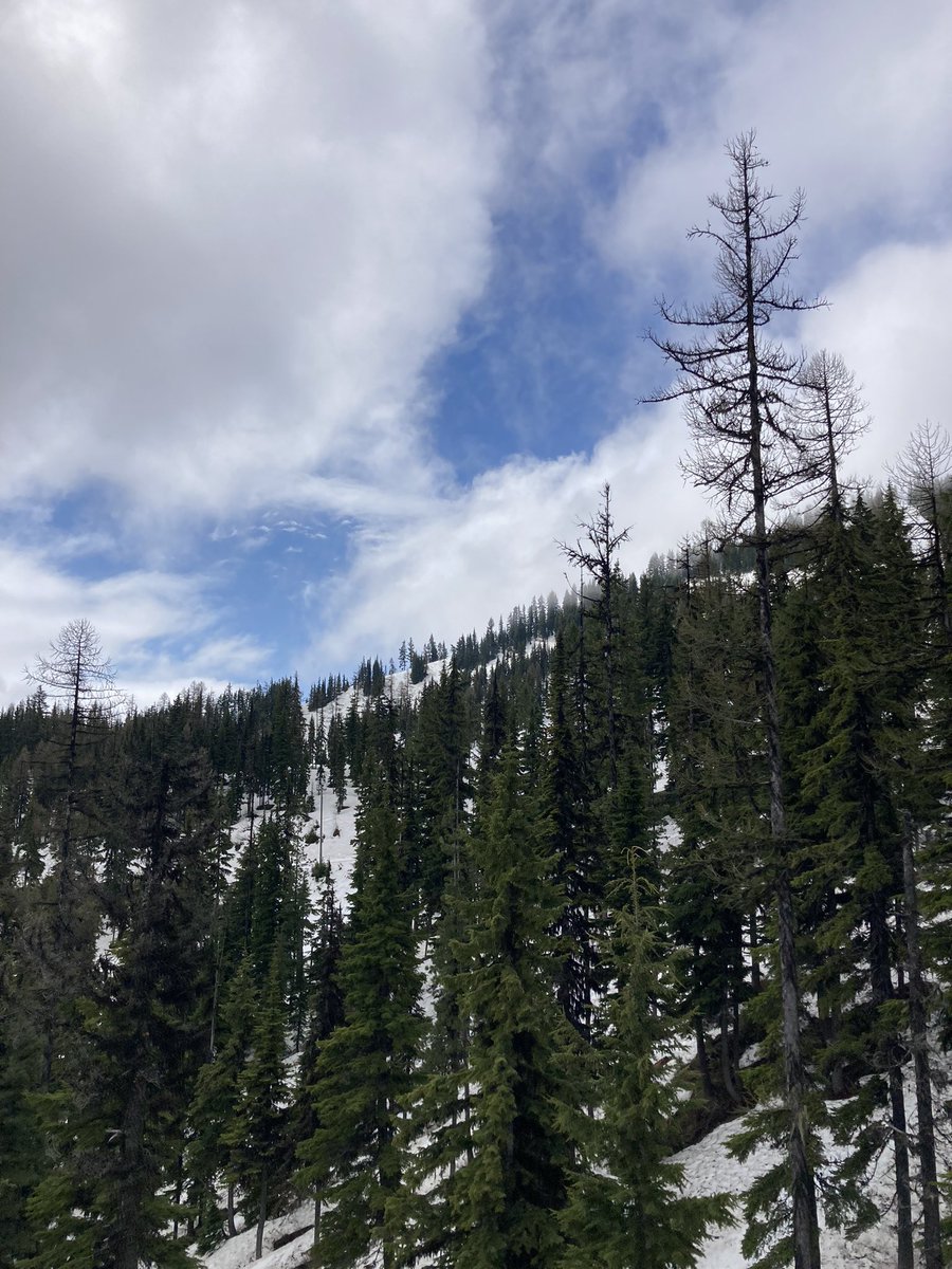 kulwap's tweet photo. Memorial Day skiing at Silver Mountain! A great way to end the season! @SilverMtnResort @SkiNWrockies #onlyatsilver #skiing #spring #pnw 1 of 2 https://t.co/9MSzhO5Ilb