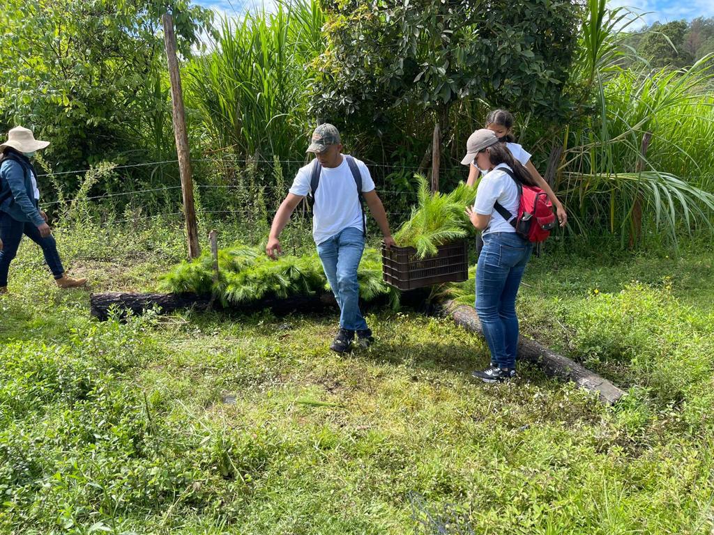 sernaHN's tweet photo. Municipios como la Villa de San Antonio, Comayagua y Ojojona, Francisco Morazán se unieron a la reforestación masiva que impulsa el gobierno de HN @XiomaraCastroZ. #AdaptarC #ReforestaHonduras https://t.co/63DcnNSx93