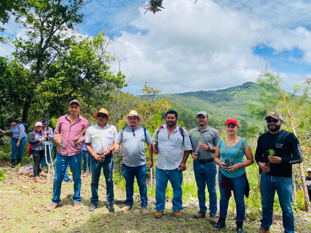 sernaHN's tweet photo. Municipios como la Villa de San Antonio, Comayagua y Ojojona, Francisco Morazán se unieron a la reforestación masiva que impulsa el gobierno de HN @XiomaraCastroZ. #AdaptarC #ReforestaHonduras https://t.co/63DcnNSx93