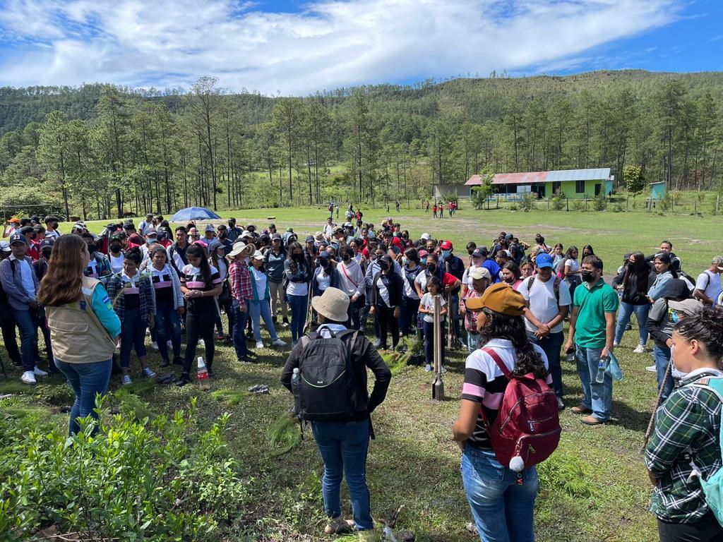 sernaHN's tweet photo. Municipios como la Villa de San Antonio, Comayagua y Ojojona, Francisco Morazán se unieron a la reforestación masiva que impulsa el gobierno de HN @XiomaraCastroZ. #AdaptarC #ReforestaHonduras https://t.co/63DcnNSx93