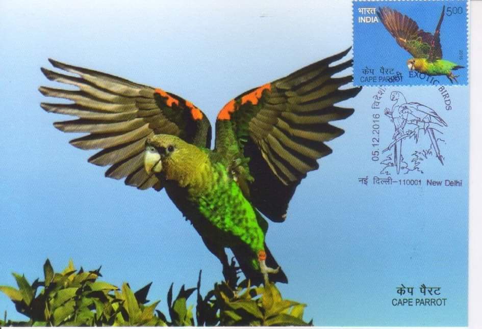 KPSbangalore's tweet photo. May 31 is #WorldParrotDay, a day to appreciate these incredible #birds and raise awareness of their plight.
These are the set of  #picturepostcards on #exoticbirds by #IndiaPost with #stamp and cancellation available at Epost
PC : Sushil Mehra

#philately #Parrot #stampcollecting https://t.co/q0cLGDjpMo