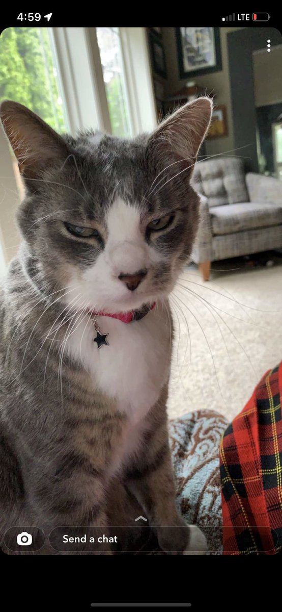 alynmc's tweet photo. @tmiranda23 Daphne has had enough of peoples crap https://t.co/B088ubxLeN