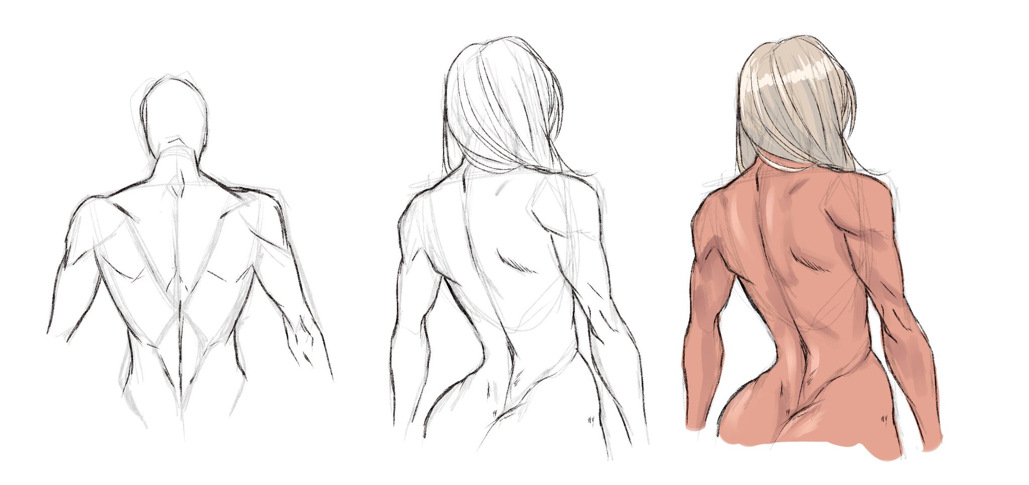 A couple of back studies from Proko anatomy reference Anatomy is very  challenging but Ive found it very useful to draw the muscle groups over the  reference before drawing the total figure 