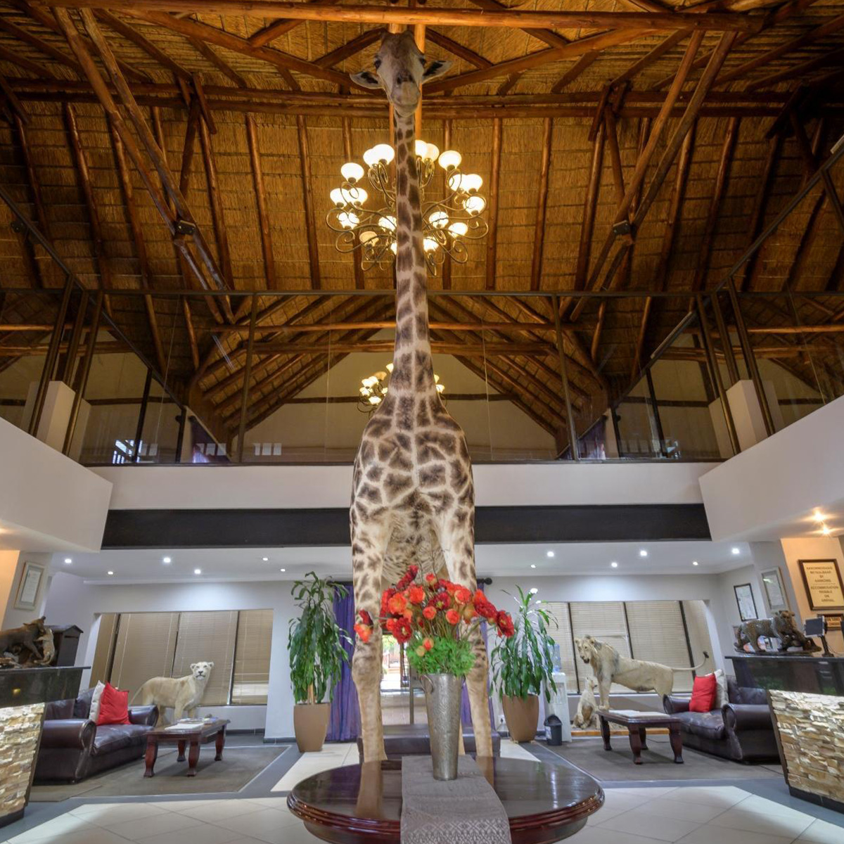 Bains Lodge is situated 2km west of the Bloemfontein border, offers a variety of accommodation options, and is the perfect stop for couples, families or groups. bit.ly/35jR0kO
📍 Bloemfontein – Free-State
💳 R315
🏠 Per person sharing