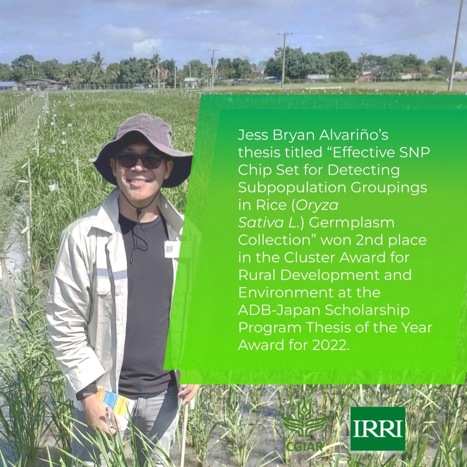 irri's tweet photo. 🎉Congratulations to ADB-IRRI scholar Jess Bryan Alvariño for being awarded the ADB-Japan Scholarship Program (JSP) Thesis of the Year Award 2022! His thesis proposes a cheaper, more efficient profiling method for characterizing rice varietal groupings. https://t.co/xHxnbBOBqX