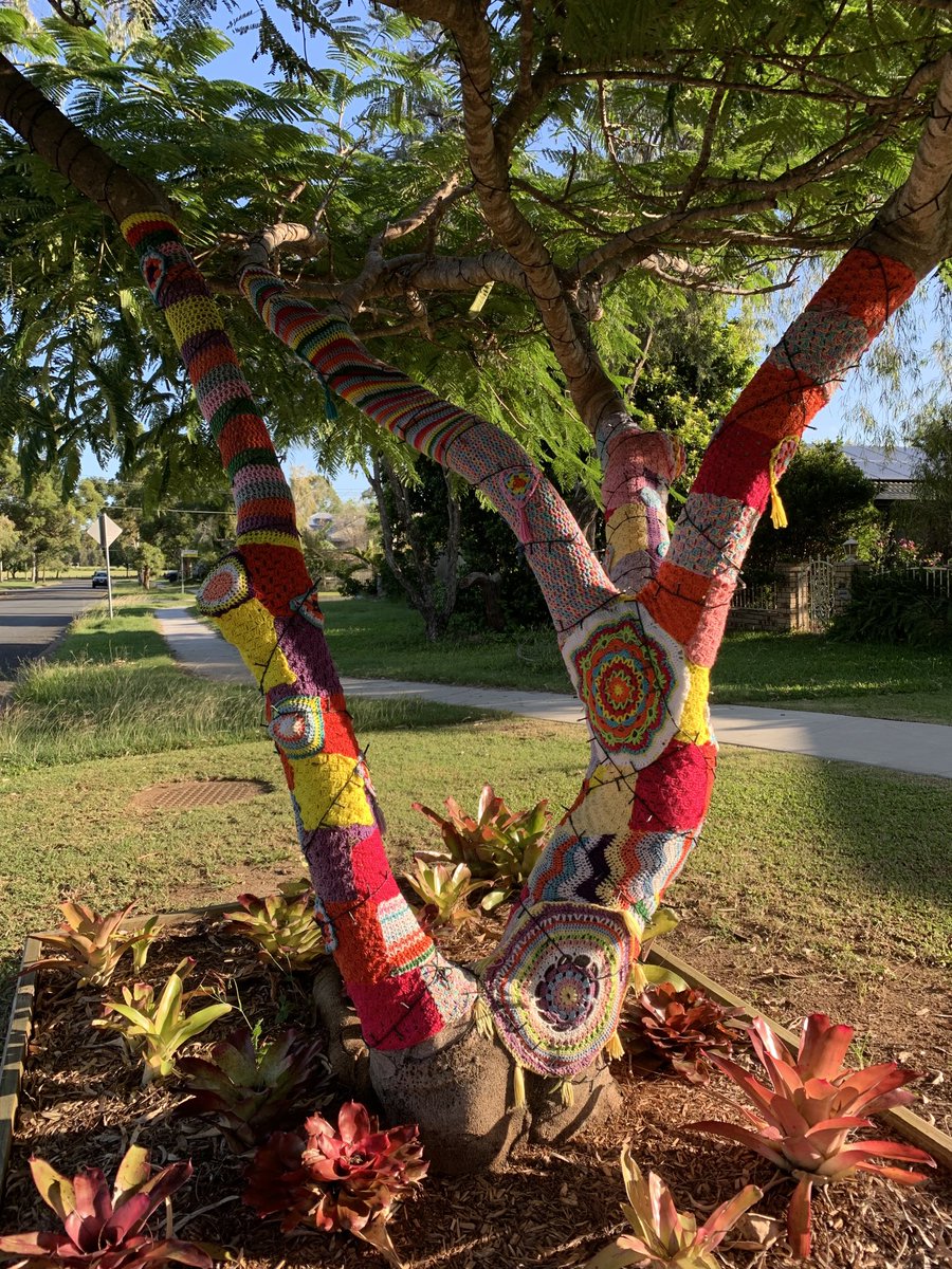 PerspicuousNews's tweet photo. On a windy &amp; chilly ‘feels like 6C’ day, appreciate beautiful things like a butterfly, unicorn cappuccino, knitted tree and a soft kitty’s belly.  There is joy all around us! #everydaybeauty #mentalhealth #happiness #smallthings #bloodpressure #peace #waystowarmup #makelifefun https://t.co/9aickgqK5Y