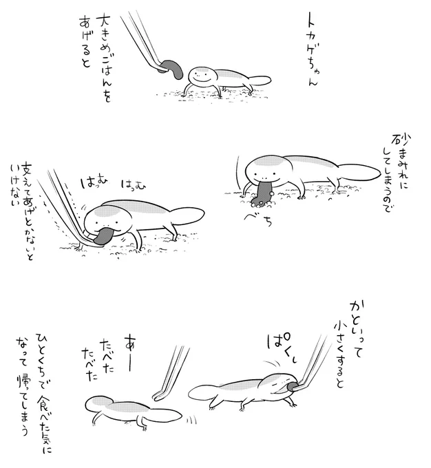トカゲちゃんのだめなところ 