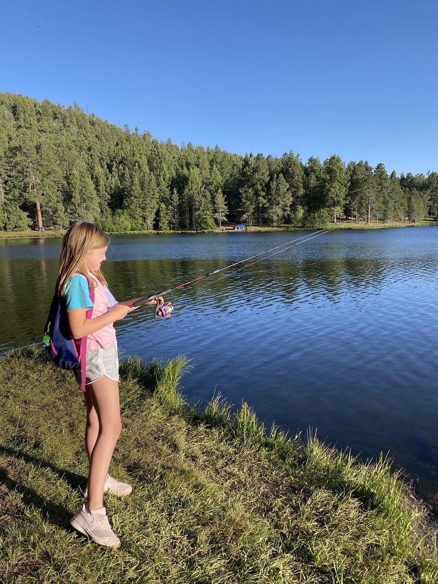 MatthewCStamp's tweet photo. Blessed! Incredible camping trip with family and friends to #MountGraham! Remember to put the devices down and take some time for yourself this summer! 🏕 ���️ https://t.co/hhm3Ixubz7