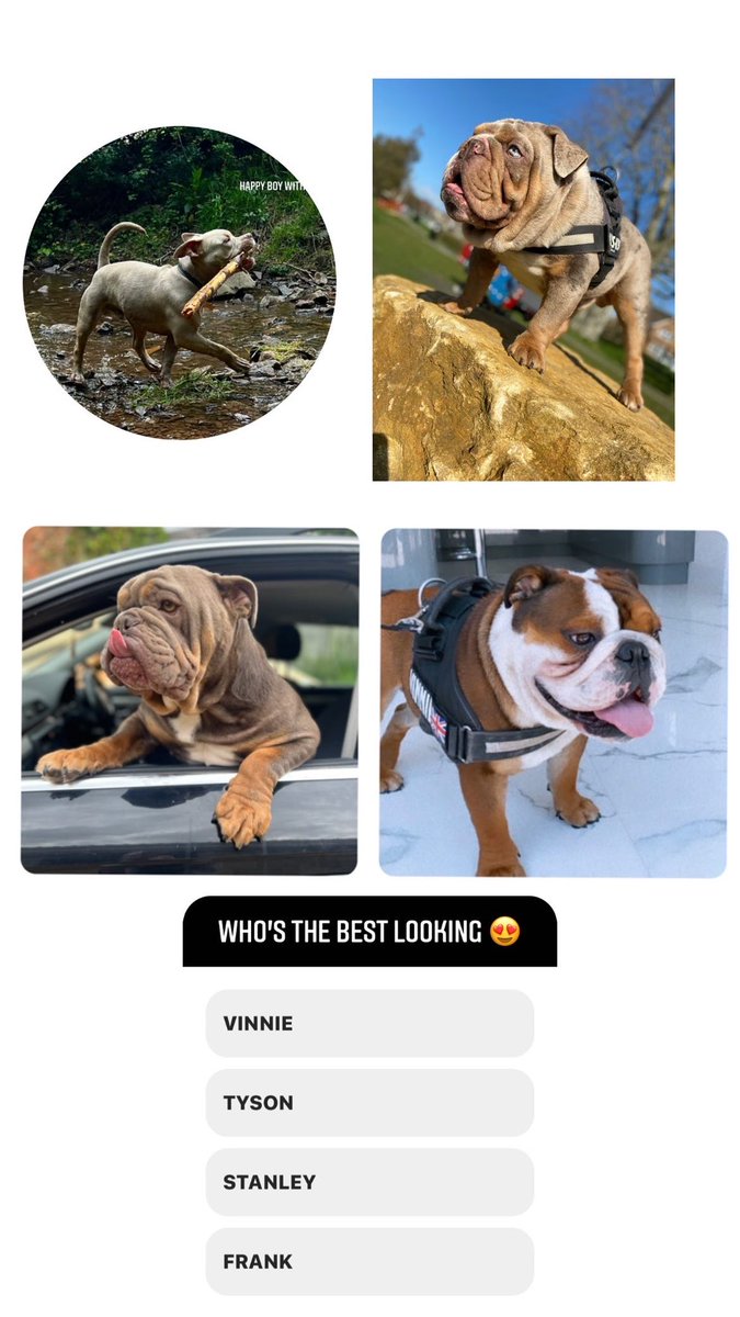 Incredibulls Southwest LTD tweet media
