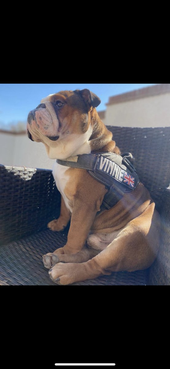 Incredibulls Southwest LTD tweet media