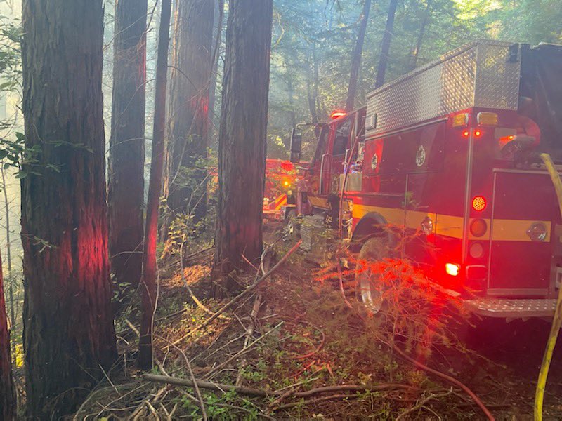 CALFIRECZU's tweet photo. UPDATE: Here is the view of the #FernFire from the ground. Photos show why it was difficult to access. The final acreage is just under .5 acre. Fire burned in heavy timber, so a dozer was called in to make access. Two engines will remain on scene overnight. #CaWx @sccounty https://t.co/pzaVQJhJkd