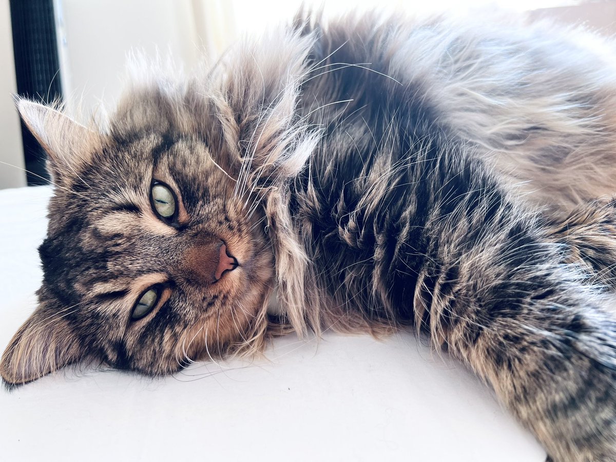 Watching the Bitcoin chart like: