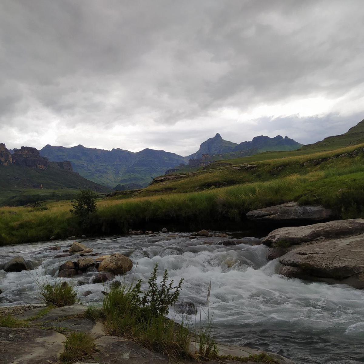 Waterhouse Guest Lodge in Muckleneuk is situated within a walking distance of the South African National Parks (SANPARKS) making it your perfect home away from home if you are visiting Pretoria, bit.ly/3NAEi1Q
📍 Pretoria - Gauteng 
💳 R448  
🏠 Per person sharing