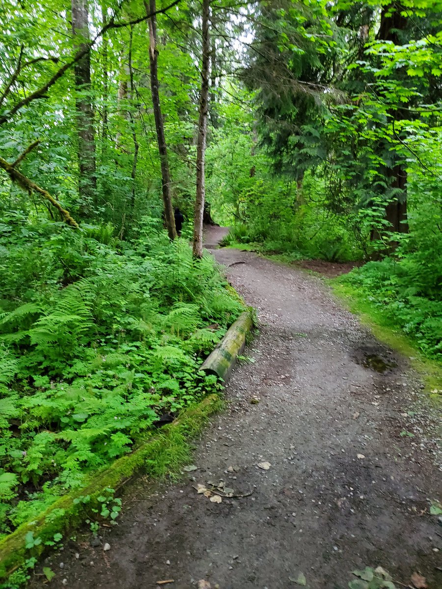 Don't forget to take deep breathes and get out to touch grass sometimes.