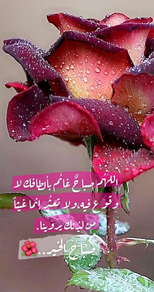 #صباح_الخيرᅠ