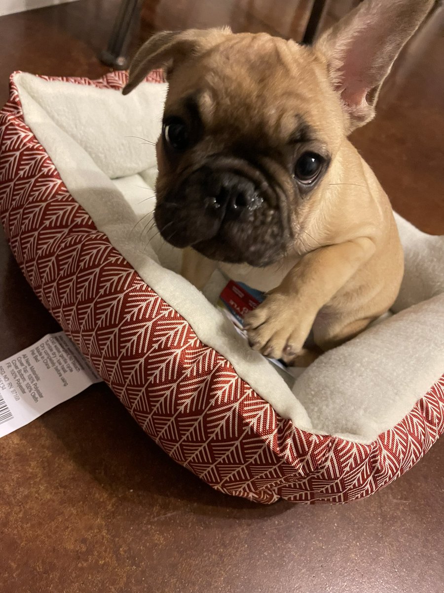 MacoriWalker's tweet photo. Y’all say hi to my son. https://t.co/px2pOQFPpG