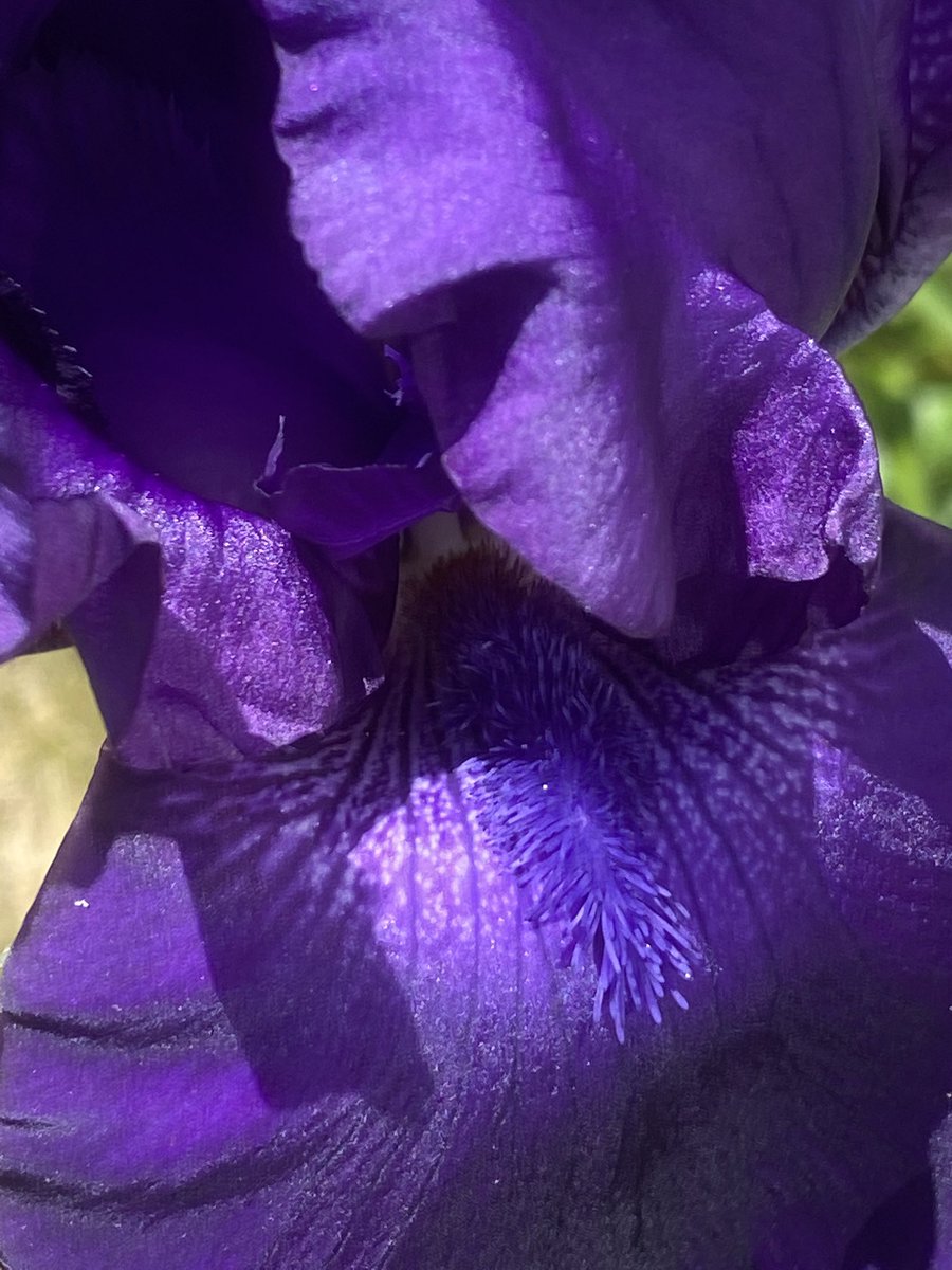 KarenJacobsOT's tweet photo. "Flowers seem intended for the solace of ordinary humanity”. John Ruskin #livingyourbestlife #livinglifetoitsfullest #promotingot https://t.co/G5tGxPFkXk