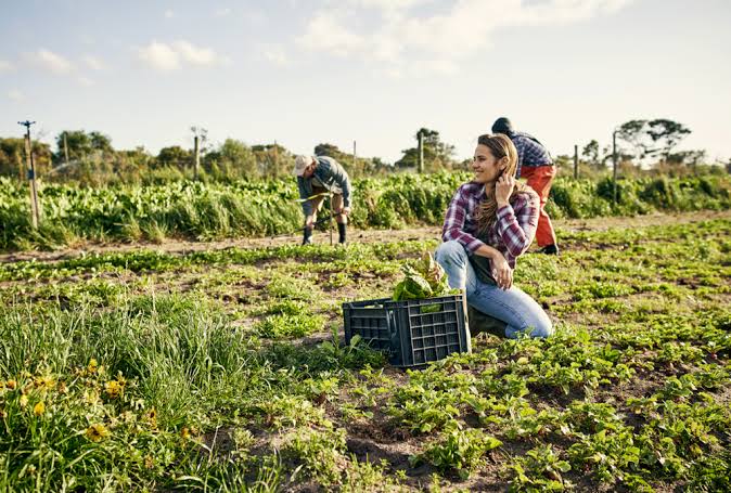Ishanam2's tweet photo. How does Conventional agriculture contribute to ecosystem collapse &amp; How does adoption of regenerative practices mitigate this? Regenerative Agricultural answers this question the way our Nature answers this question 🥰🌱 #SaveSoil #ConsciousPlanet @SadhguruJV @cpsavesoil @UNCCD https://t.co/uQzeLyc9jC