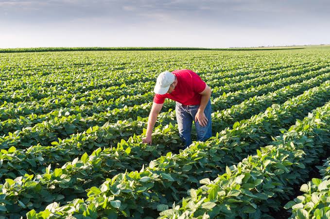 Ishanam2's tweet photo. How does Conventional agriculture contribute to ecosystem collapse &amp; How does adoption of regenerative practices mitigate this? Regenerative Agricultural answers this question the way our Nature answers this question 🥰🌱 #SaveSoil #ConsciousPlanet @SadhguruJV @cpsavesoil @UNCCD https://t.co/uQzeLyc9jC