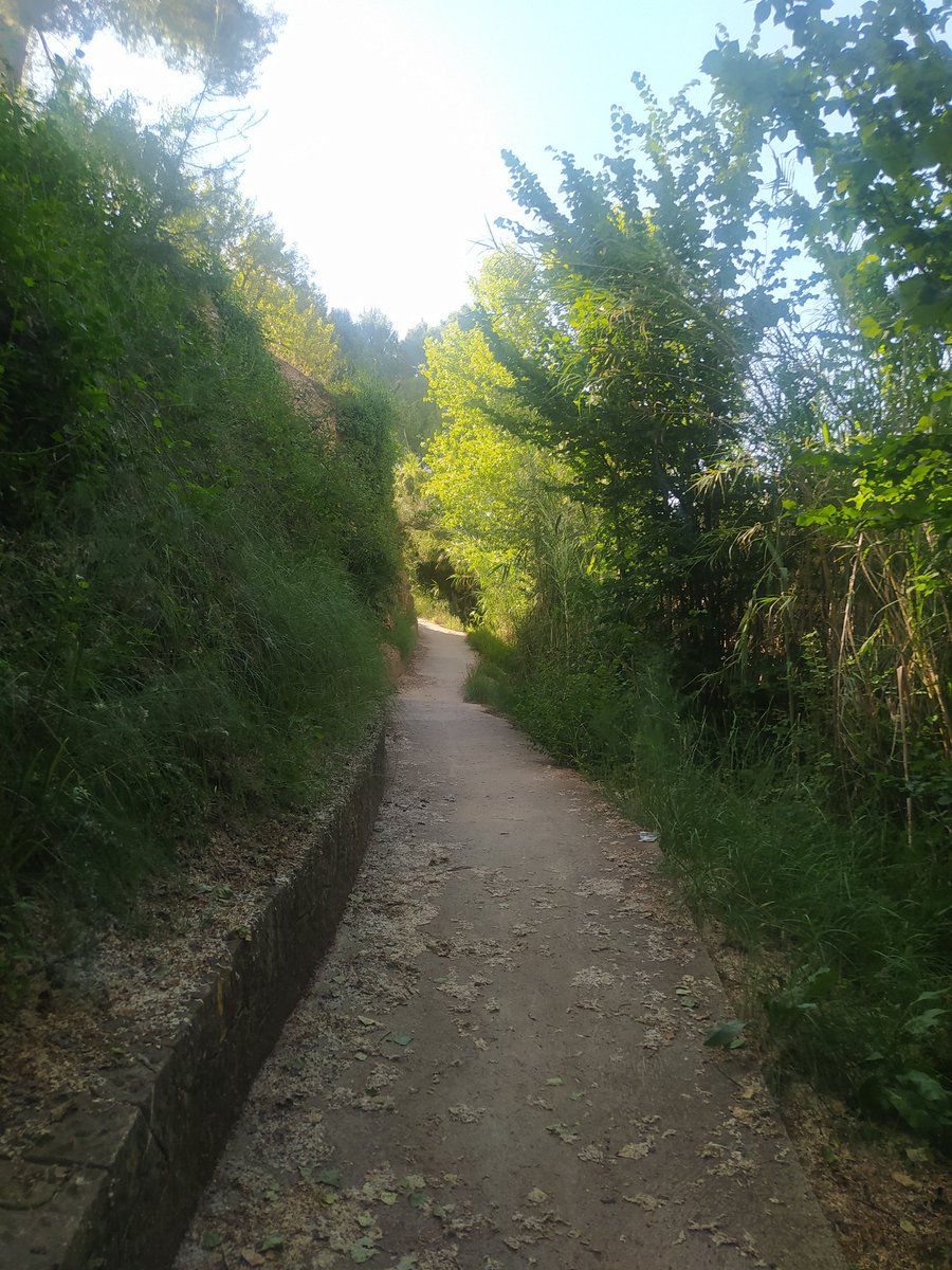 CanteroZanon's tweet photo. Buenos días a todos desde el parque natural del Turia a su paso por Pedralba https://t.co/c1BdQgEOdm