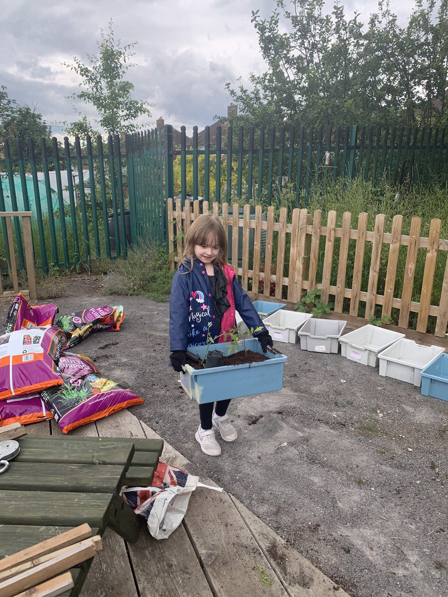 cookiesri's tweet photo. @HollyfieldPri Lily enjoyed planting fruit and vegetables at the community allotments yesterday. https://t.co/LqPCRdy4KC