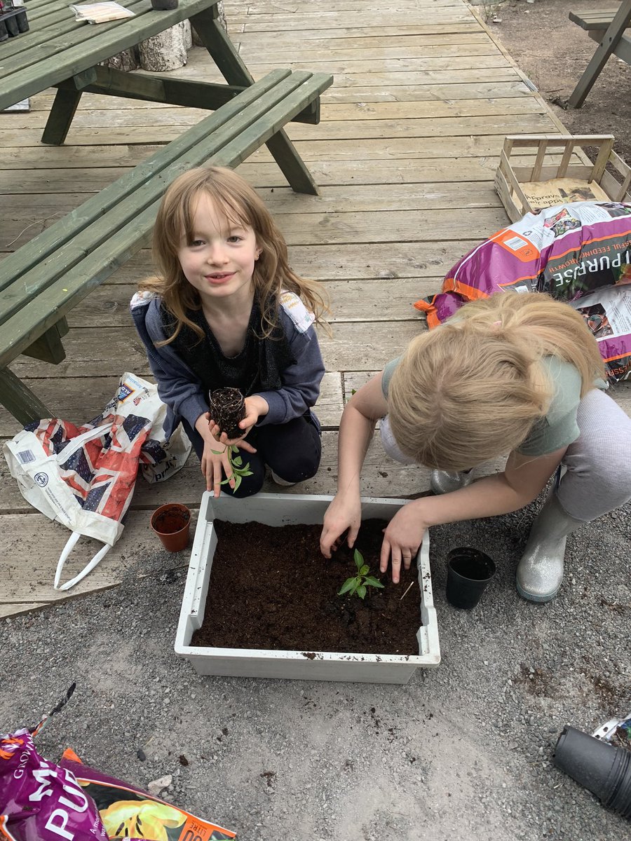 cookiesri's tweet photo. @HollyfieldPri Lily enjoyed planting fruit and vegetables at the community allotments yesterday. https://t.co/LqPCRdy4KC