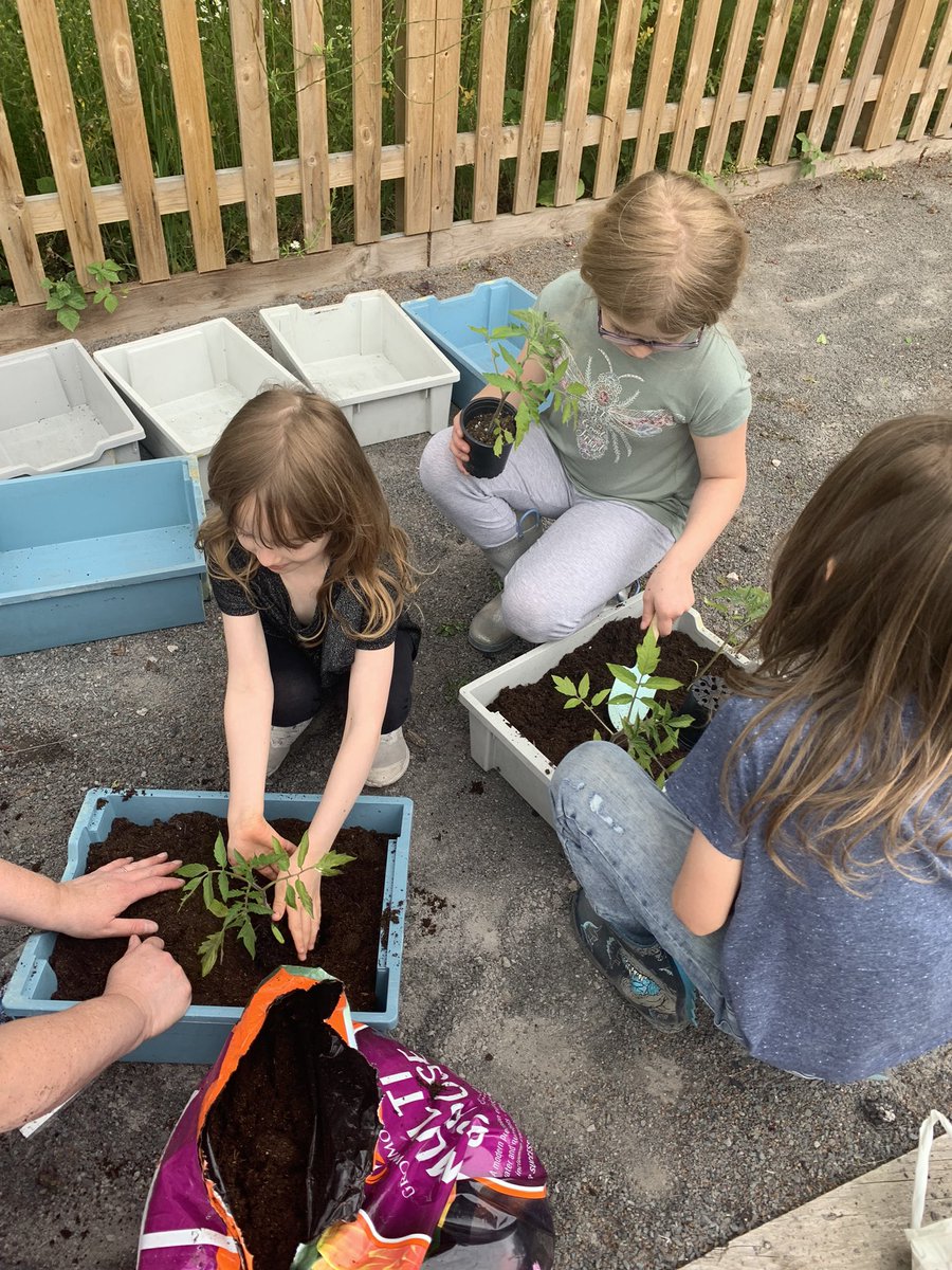 cookiesri's tweet photo. @HollyfieldPri Lily enjoyed planting fruit and vegetables at the community allotments yesterday. https://t.co/LqPCRdy4KC