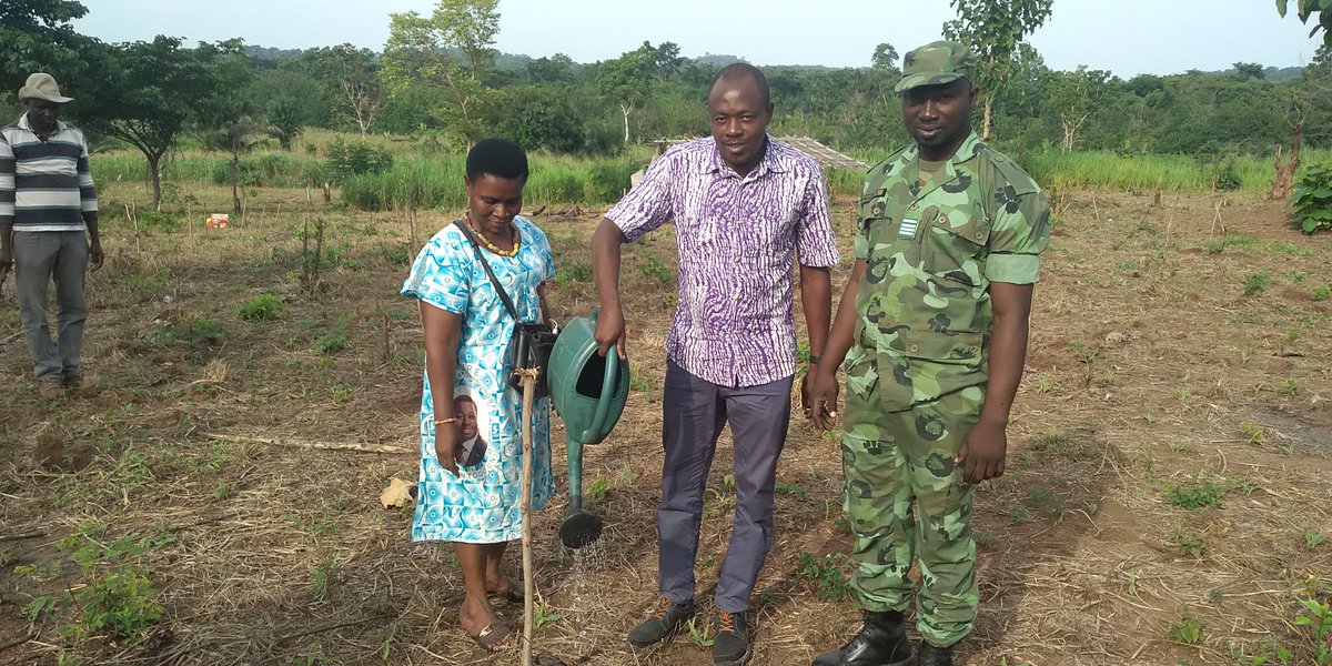 Depuis 1977, le Togo célèbre chaque 1er juin, la journée nationale de l’arbre.
Cette année encore, la tradition sera respectée.
Pour sa part, la Commune AGOU1, face à la pression anthropique qui fait disparaître le couvert végétal au profit des habitations,