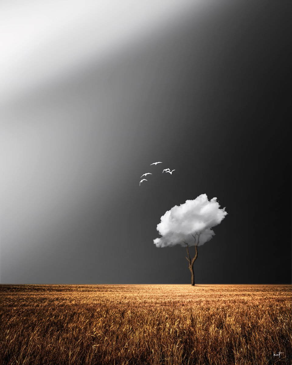 kathrinfederer's tweet photo. Soul is in the air… 🥰
My two new pieces now on FND!

Link ↓  
https://t.co/XQoYShqRJP https://t.co/CzerY5sK6i