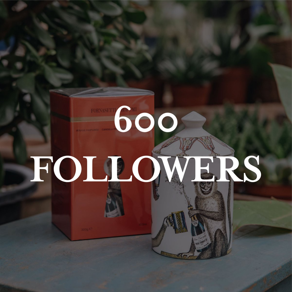 600 팔로워! 더 좋은 작업으로 보답하겠습니다.

600 followers! I'll repay you with better work.
-
#NFT #nftart #NFTartist #drawing